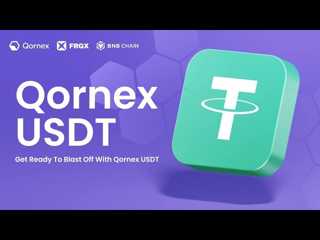 QORNEX USDT 전체 계획 프레젠테이션. 저에게 연락주세요 7439567376