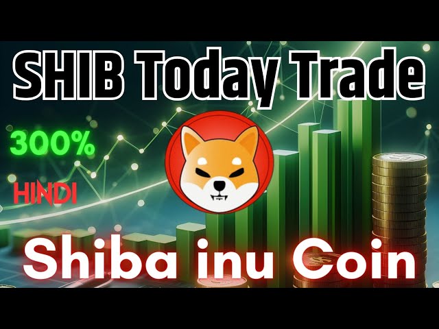 SHIB/USDT 오늘의 거래 차트 분석 - Shibu Inu 코인 가격 행동 분석