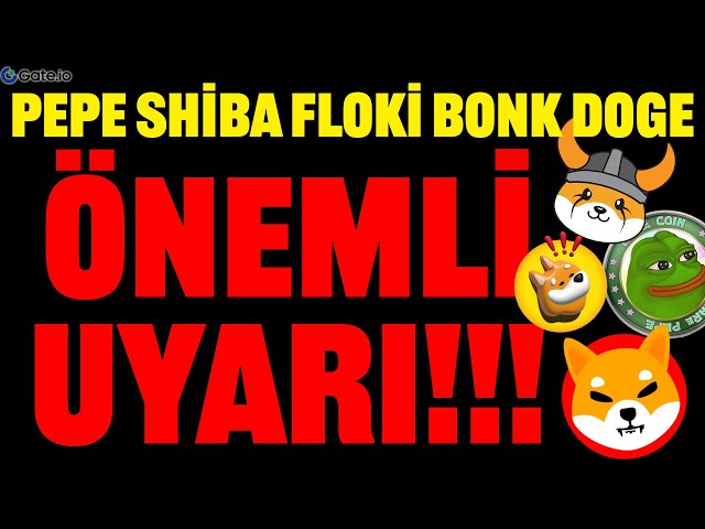 PEPE SHIBA FLOKI DOGE BONK 重要警告！！今晚注意！！ #floki #bonk #dogecoin #shiba #shib