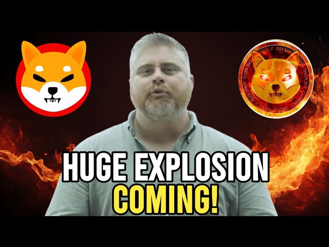 BITBOY: YOU ONLY NEED 2 MILLION SHIB COINS TO BECOME A BILLIONAIRE!! - SHIBA INU NEWS