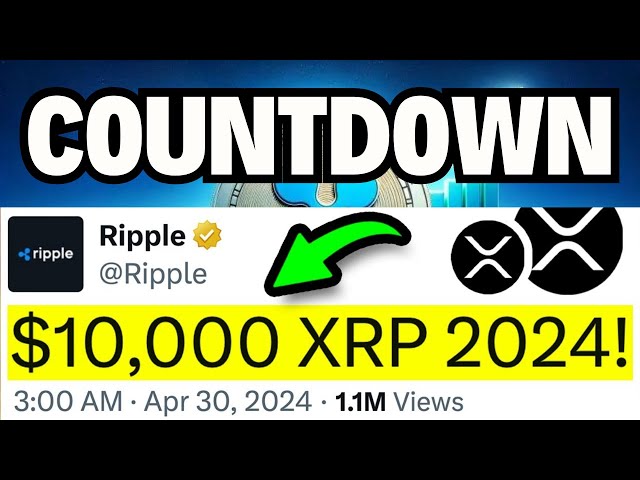 XRP 橡膠：情況正變得嚴重！ $10,000 XRP 不是小事！ （日期）- 當前瑞波幣 XRP 新聞