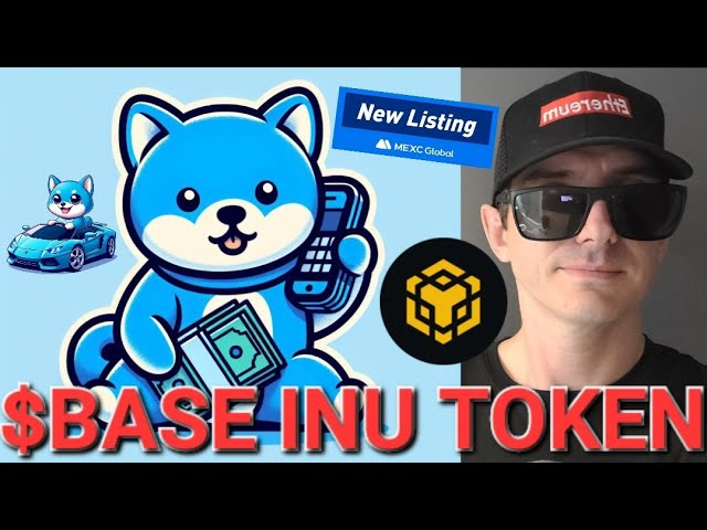 $BASEINU - BASE INU トークン 暗号コイン メキシコ グローバル ミームコイン BNB BSC パンケーキスワップ ブロックチェーン ミーム NEW