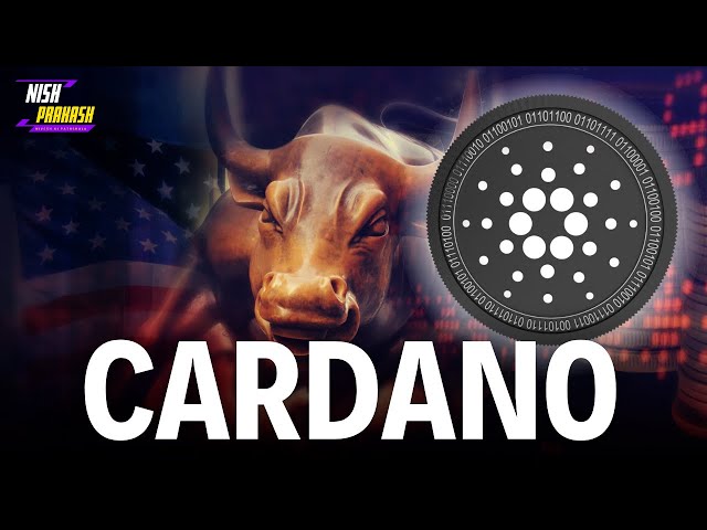 Was ist Cardano? Cardano-Kryptowährung. Cardano Kya hai? ADA auf Hindi erklärt. #cardanoada