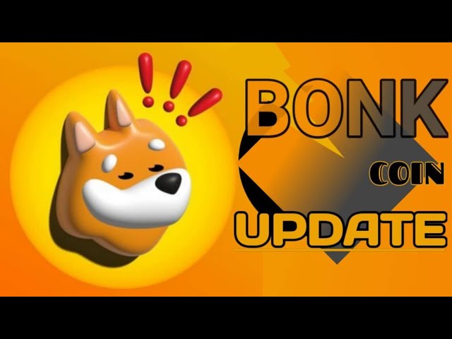 BONK COIN-UPDATE HEUTE| BITCOIN FÄLLT| Der Vorverkauf von BICITY läuft noch, das sollten Sie sich nicht entgehen lassen