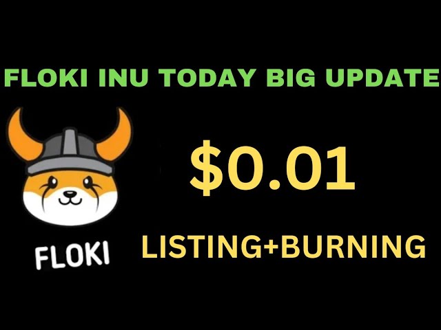 Floki Inu Today News | Brennen | Floki Inu 0,01 $ | Große Ankündigung steht bevor