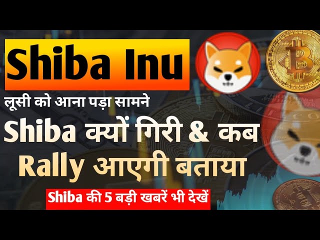 Lucie erklärt den Shib-Fall | Shiba-Rallye | Shiba Inu Coin News heute | Shiba Inu Coin-Preisvorhersage