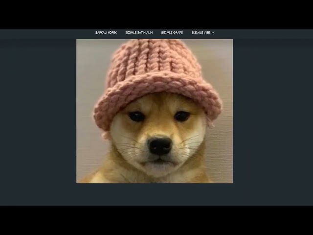 DogWifHat Meme Token