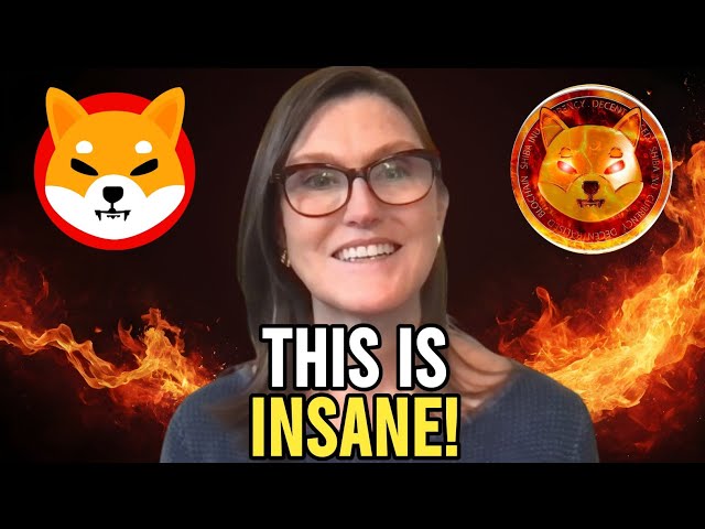 Cathie Wood REVEALS HOW Shiba Inu Coin will hit $0.90 Soon!!