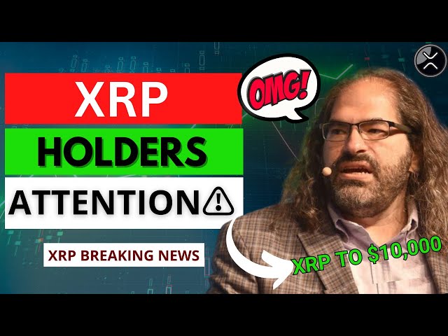 David Schwartz's Major Announcement: Bitcoin's Bottom Confirmed, Ripple XRP Enters Liquidity Zone!