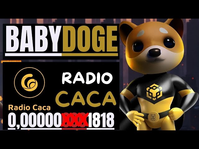 🔥BABY DOGE COIN // 라디오 CACA // RACA // 최신...🔥#babydogecoin #babydoge #racatoken #radiocaca