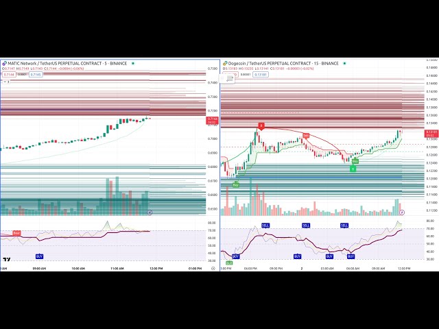 비트코인 라이브 차트 MATIC, DOGE Coin LIVE