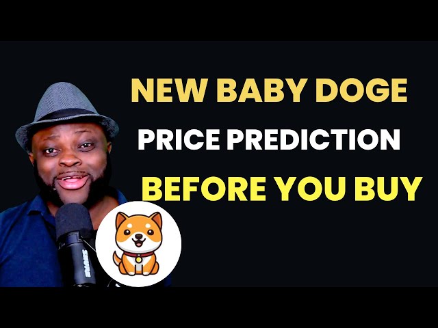 최근 Baby Dogecoin 가격 예측 2024 (BABY DOGE COIN)