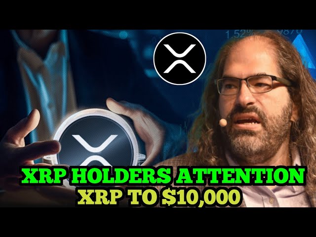 David Schwartz의 주요 발표: 비트코인 ​​바닥 확인, Ripple XRP가 유동성 영역에 진입