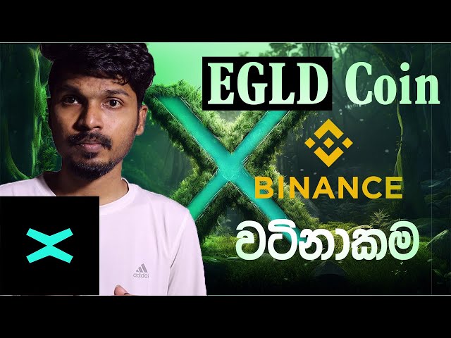 바이낸스에서 암호화폐를 구매하는 방법 EGLD Coin Research Sinhala