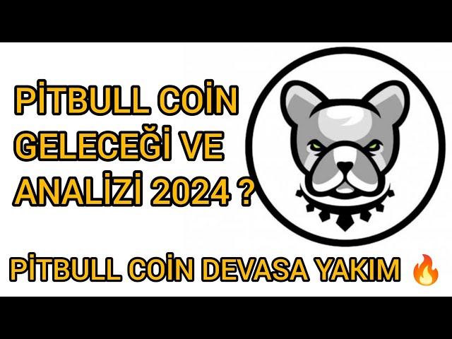 핏불 코인 속보! PITBULL 코인의 미래와 분석? 핏불(PITBULL) 토큰이 엄청나게 소각되었습니다! 🔥🚀