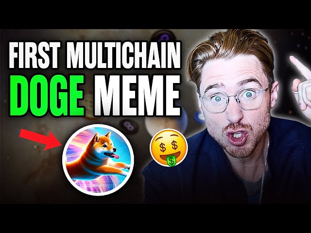 MULTICHAIN DOGE MEME COIN PRESALE!!!