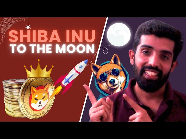 BE READY: Shiba Inu Coin Craze Set to Take Off!