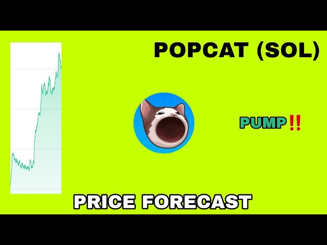 POPCAT (SOL) TOKEN PUMP POSSIBLE IN 2024‼️ POPCAT PRICE FORECAST❗ SMART MONEY IS BUYING POPCAT (SOL)