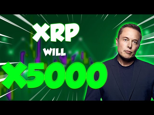 XRP 가격은 X5000까지 치솟을 것입니다 - 2024년 리플 가격 예측, 구매해야 할까요??