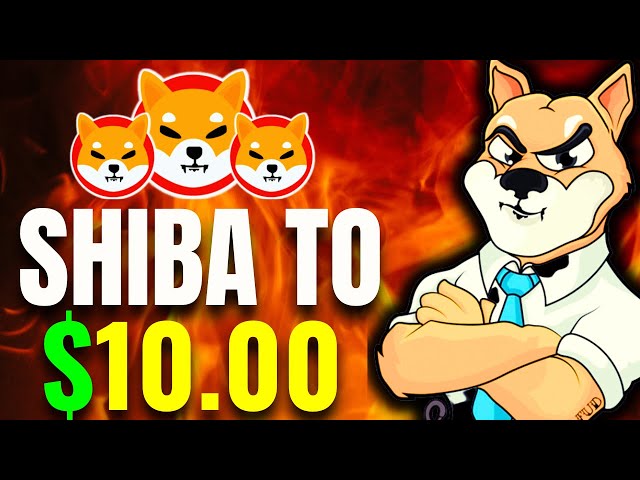 今日のSHIBA INU COINニュース: CEOがShibを一晩で10ドルに間もなく送金します!