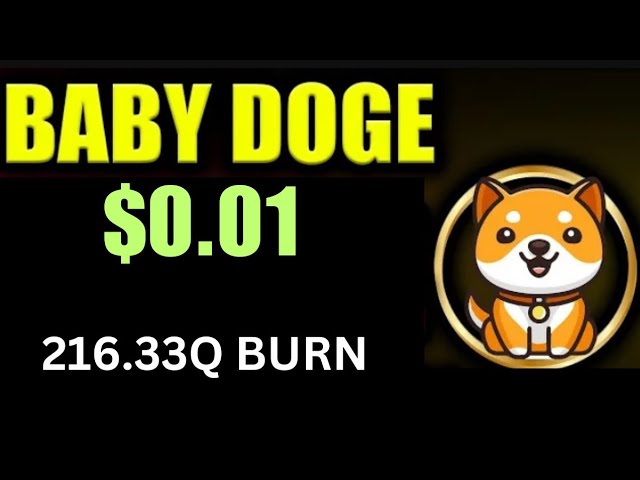 Baby Dogecoin News Today | 216.33Q Burn | BabyDoge Coin Price $0.01 | Binance Listing