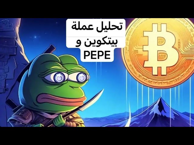 コイン PEPE 目標 $0.00001155 -------- ビットコイン BTC -- 05/03/2024