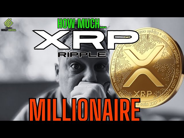 XRP：リップル/SEC！ 「XRPミリオネアになる」 (いくら?) 🚨