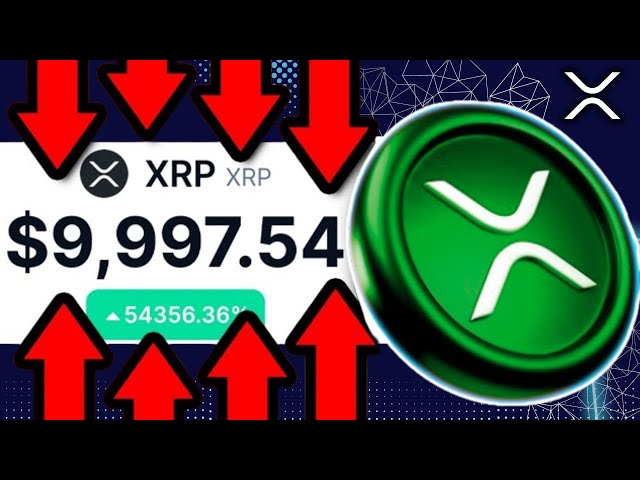 今日のリップル XRP ニュース XRP CEO 一生に一度のチャンス!!! ($10,000の値札が確認されました)