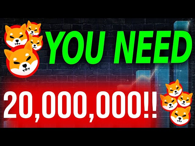 HOW MUCH WILL 20,000,000 SHIBA INU COIN BE WORTH BY 2025!! - SHIB NEWS