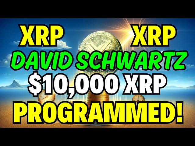 David Schwartz 重大公告：Ripple XRP 进入流动性区域，比特币触底已确认！