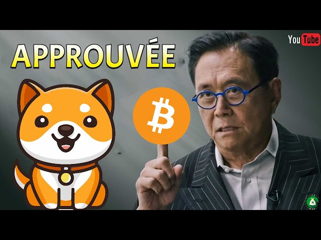 提案が承認されました 🚨 BabyDoge Coin |ビットコイン