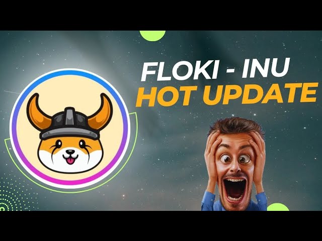 关于 FLOKI INU 硬币，他们没有告诉您什么 ||这很严重