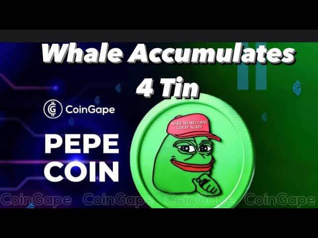 PEPE 가격 : 고래처럼 랠리 🐋 🐋🐋🐋주석 페페 코인 4개 축적 #crypto #pepe #cryptocurrency