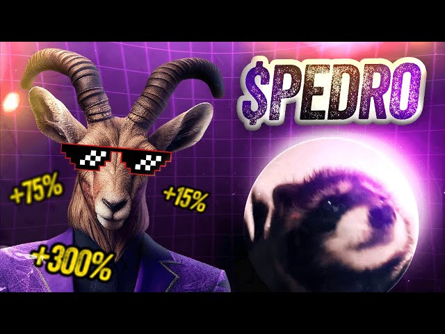 PLONGEZ DANS L'AVENTURE !🔥 $PEDRO 🔥REAL RACCOON MEME TOKEN PRÉVENTE ICI !