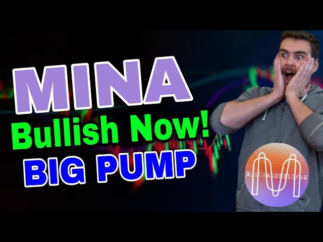 ミナ緊急ニュース！ MINA COIN価格予測