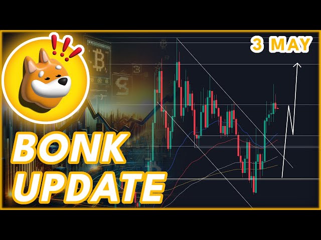 为什么我买 BONK！🔥 | 2024 年债券价格预测和新闻！