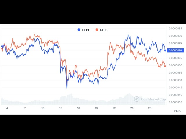 PEPE 会在 2024 年超越 SHIBA INU 吗？