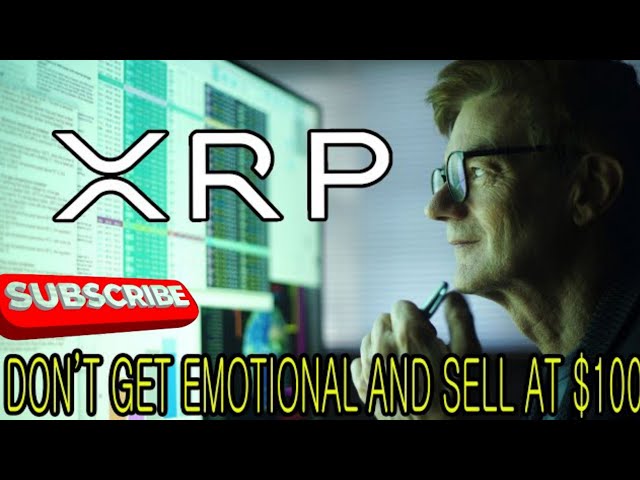 XRPリップル2億8,800万ドルのファンドマネージャーがXRP価格について語る!!!|Xrpリップル|リップルxrp|リップルレスポンス