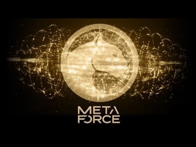 メタフォースエコシステム #metaforce #metaverse #uniteverse #forcecoin #nft #tactile #mfs #bitcoin #mlm