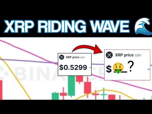 XRP 予測: 利益戦略と予測 | XRPリップルコイン