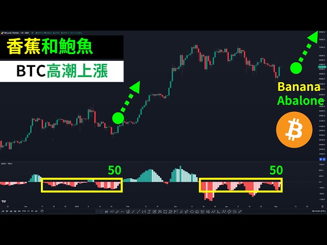 Bitcoin position is less than $400,000! BTC Crazy Bull Market Bananas and Abalone