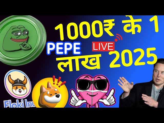 PEPE 100 倍僅需 1000 盧比？ / floki 將快速上漲 / BTC 70000K / ALTCOIN 反彈 shiba lunc 上漲