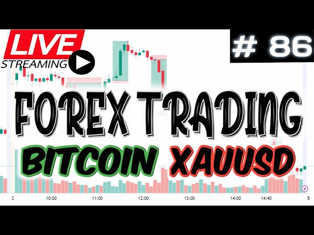 실시간 거래 | 외환 트레이딩 | 비트코인 및 XAUUSD | 86