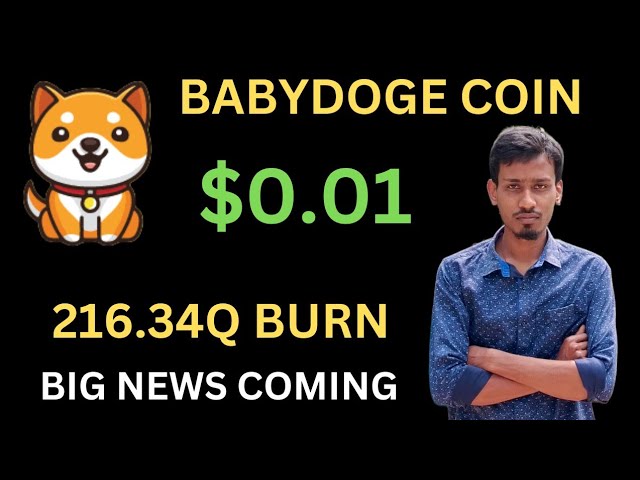 오늘의 Baby Dogecoin 뉴스 | 216.34Q 버닝 | BabyDoge 코인 가격 펌프 | 바이낸스 상장