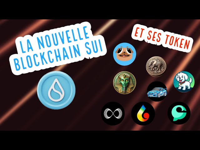 JETONS SUI BLOCKCHAIN ​​​​🚀🌐