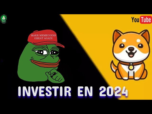 WHERE TO INVEST in 2024: PEPE and BAYDOGECOIN