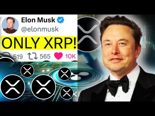 XRP RIPPLE: ELON MUSK JUST BOUGHT EVERYTHING! HUGE SUCCESS FOR XRP! - CURRENT RIPPLE XRP NEWS