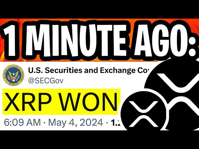 XRP CEO: SEC が違反される!!!大規模ポンプが承認されました !!! (今月 $102) - 今日のリップル XRP ニュース