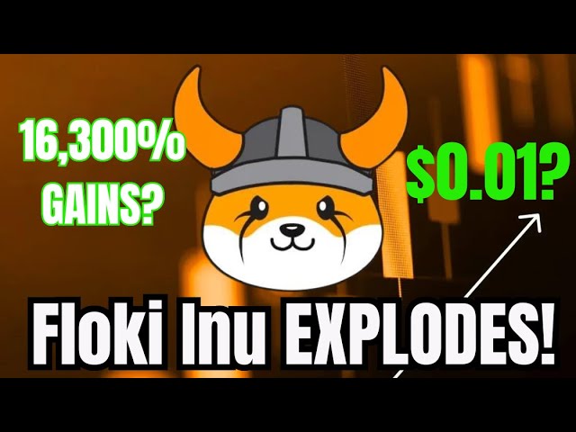 Floki Inu MOONSHOT entrant ? (0,01 $ possible ?) OU Floki Inu est-il le PROCHAIN ​​Shiba Inu ? (énorme potentiel)