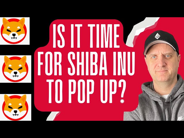 URGENT! ⛔️ SHIBA INU COIN VERSUS DOGECOIN VERSUS BONK 🔥 BEST CRYPTO TO BUY NOW